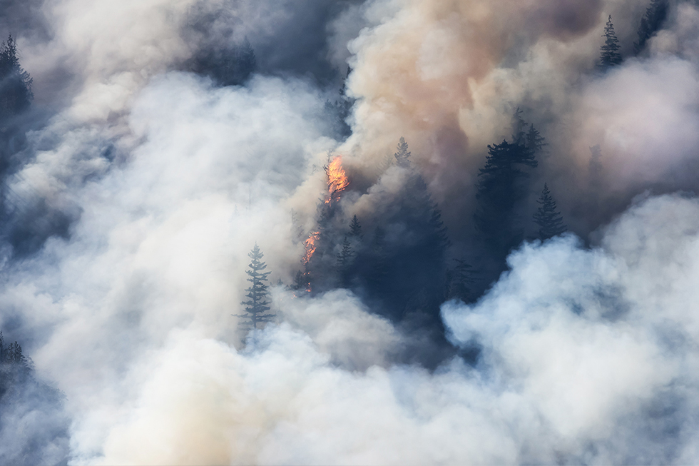 Navigating Smoke Safety Amid Rising Wildfires: Protecting Your Workforce